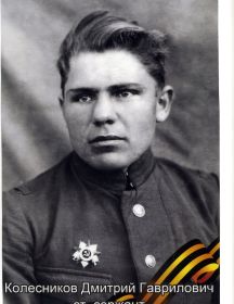 Колесников Дмитрий Гаврилович