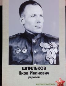 Шпильков Яков Иванович