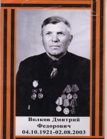 Волков Дмитрий Федоровичь