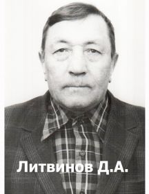 Литвинов Дмитрий Алексеевич