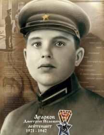 Агарков Дмитрий Исаевич