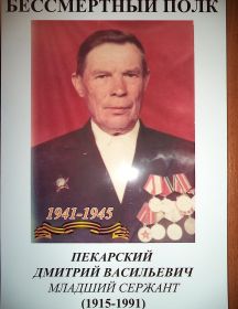 Пекарский Дмитрий Васильевич