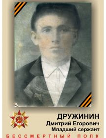 Дружинин Дмитрий Егорович