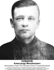 Новиков Александр Михайлович
