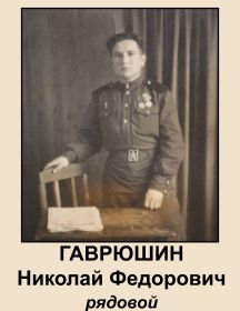 Гаврюшин Николай Федорович
