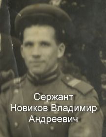 Новиков Владимир Андреевич
