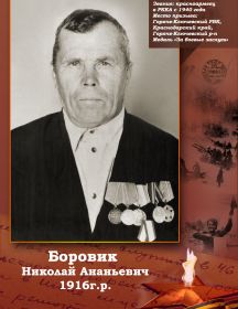 Боровик Николай Ананьевич