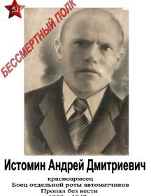 Истомин Андрей Дмитриевич