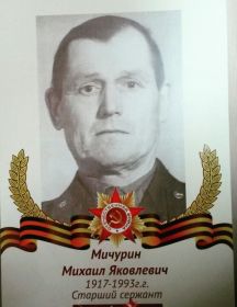 Мичурин Михаил Яковлевич