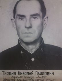 Тропин Николай Павлович