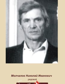Молчанов Николай Иванович