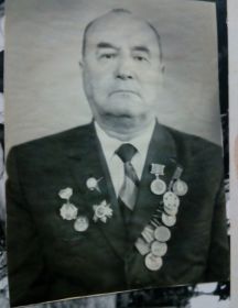 Ватутин Николай Илларионович