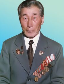 Николаев (Волков) Федор Николаевич              (1915-1991)