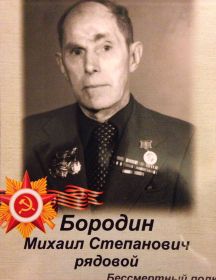 Бородин Михаил Степанович
