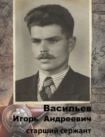 Васильев Игорь Андреевич
