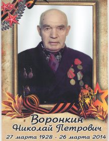 Воронкин Николай Петрович