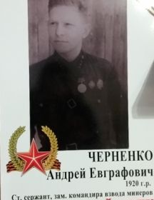  черненко андрей евграфович