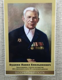 Будник Павел Емельянович