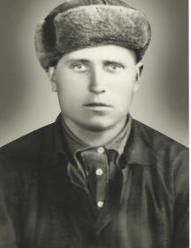 Шамехин Андрей Ермолаевич