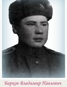 Барков Владимир Павлович