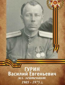 Гурин Василий Евгеньевич