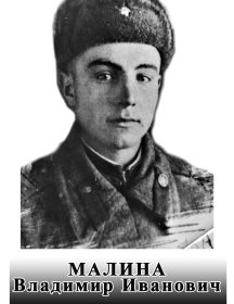 Малина Владимир Иванович