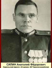 Силин Анатолий Фёдорович