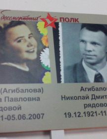 Агибалов Николай Дмитриевич