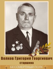 Волков Григорий Георгиевич
