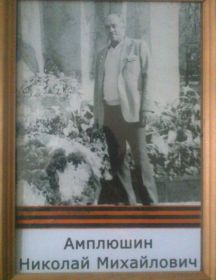 Амплюшин Николай Михайлович