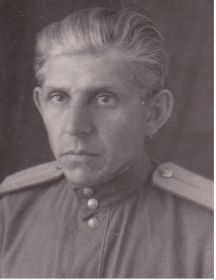 Брижанев Василий Трофимович