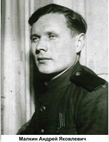 Малкин Андрей Яковлевич