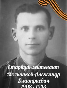 Мельников Александр Дмитриевич