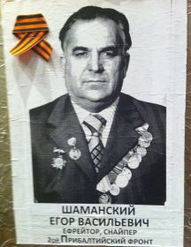 Шаманский Егор Васильевич