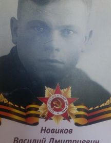 Новиков Василий Дмитриевич