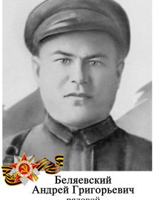 Беляевский Андрей Григорьевич