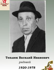 Теплюк Василий Иванович