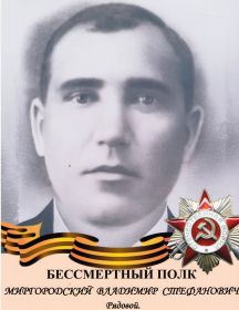 Миргородский Владимир Степанович