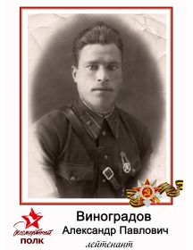 Виноградов Александр Павлович
