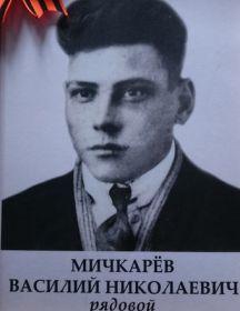 Мичкарев Василий Николаевич