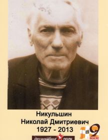 Никульшин Николай Дмитриевич
