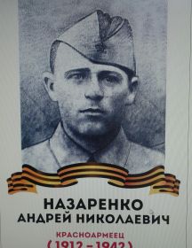 Назаренко Андрей Николаевич