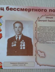 Шевцов Дмитрий Евдокимович