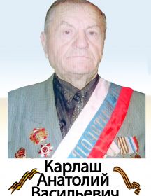 Карлаш Анатолий Васильевич