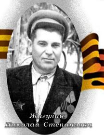Жигулин Николай  Степанович