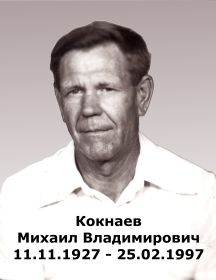 Кокнаев Михаил Владимирович