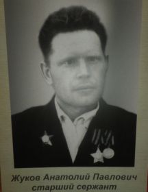 Жуков Анатолий Павлович