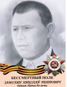 Замулин Николай Петрович