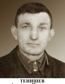 Тенишев Алимжан Исхакович