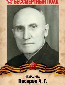 Писарев А.Г.